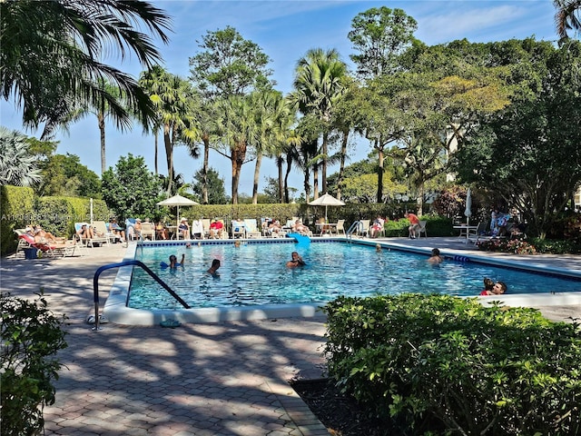 view of pool with a patio area