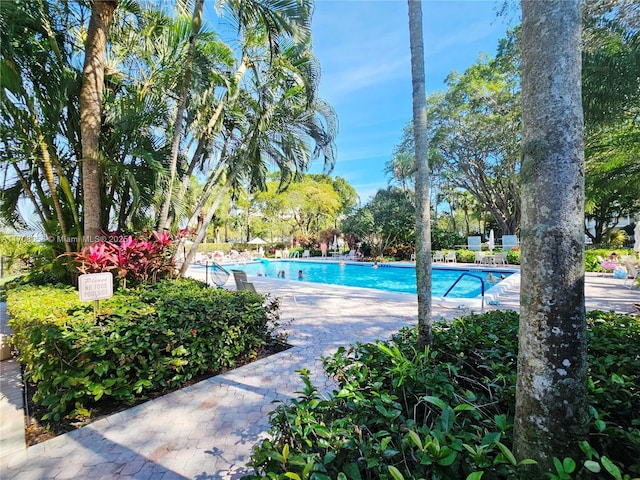 view of swimming pool