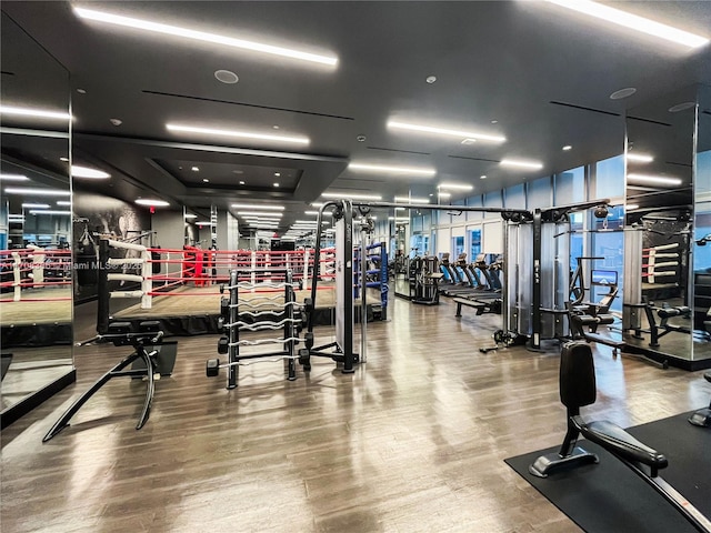 gym featuring hardwood / wood-style flooring