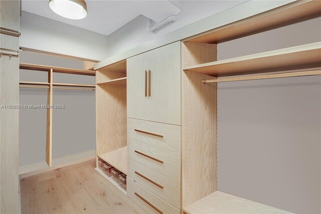 walk in closet featuring light wood-type flooring