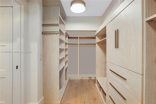 101 N Clematis St Unit 308, West Palm Beach, FL 33401 - spacious closet with light wood-type flooring