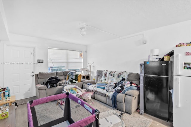 living room featuring wood-type flooring