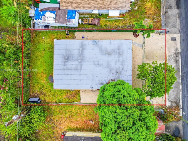 bird's eye view