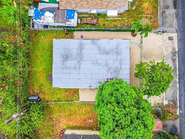 bird's eye view
