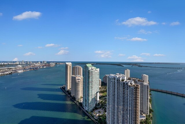 bird's eye view with a water view