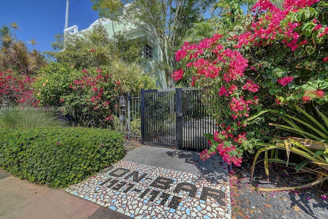 1571 Pennsylvania Ave Unit 4S, Miami Beach, FL 33139 - view of gate