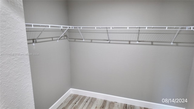 walk in closet featuring wood-type flooring