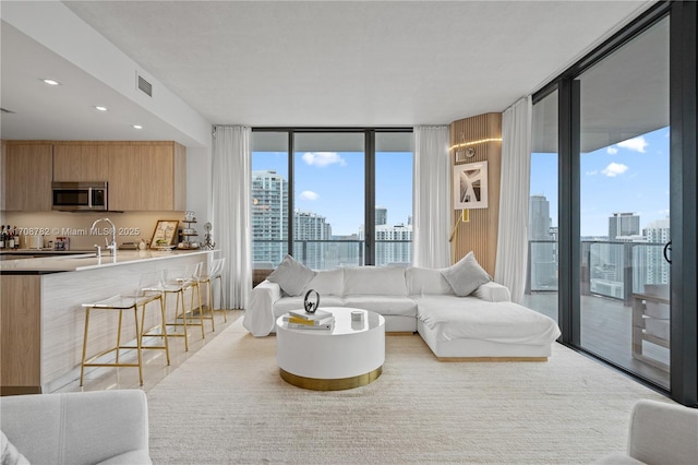 living room with expansive windows, a healthy amount of sunlight, and sink