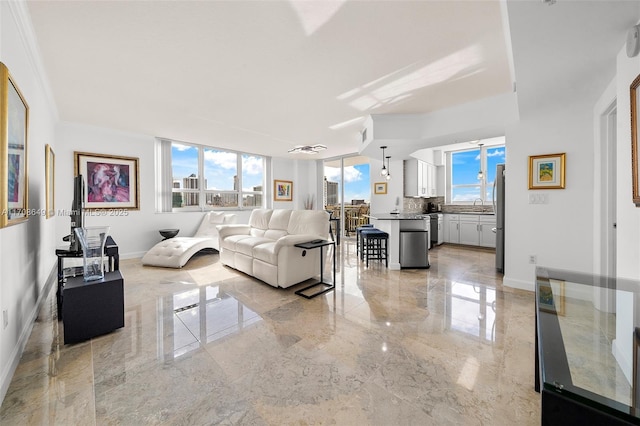 living room featuring sink