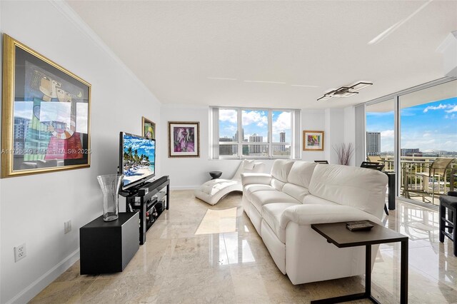 living room with crown molding