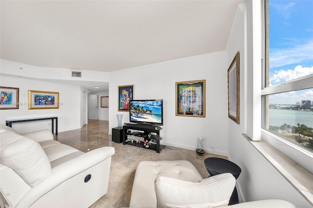 living room with ornamental molding