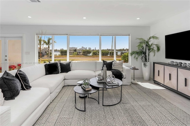 living room featuring hardwood / wood-style flooring