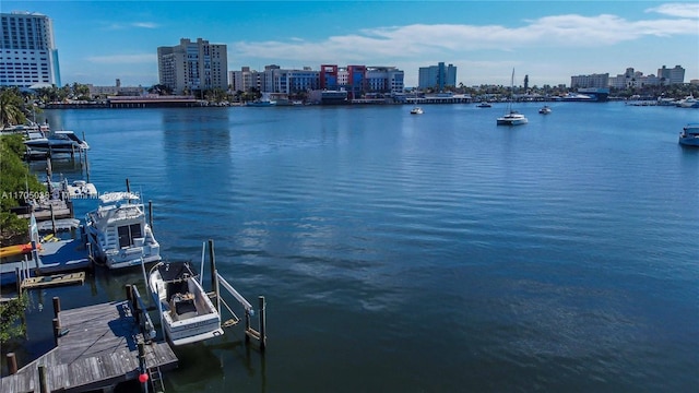 property view of water featuring a boat dock