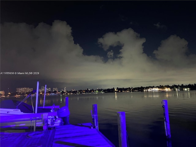 water view with a dock