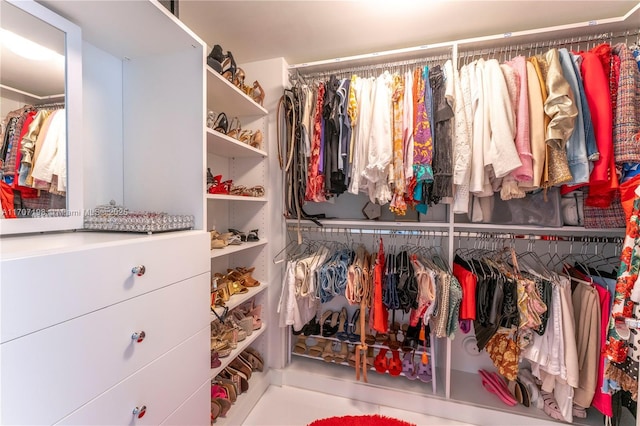 view of spacious closet