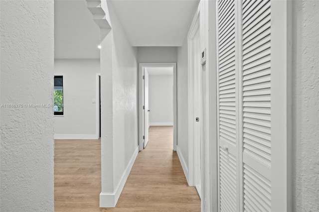 corridor featuring light hardwood / wood-style flooring