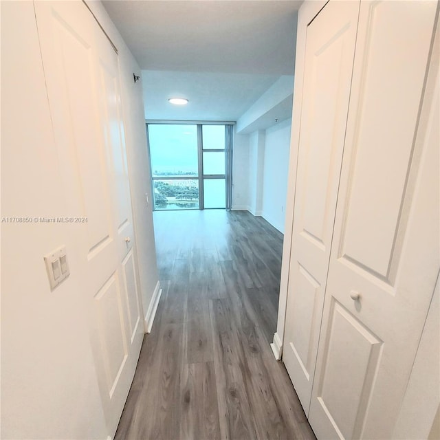 corridor featuring wood-type flooring and a wall of windows