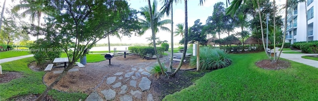 view of community featuring a lawn