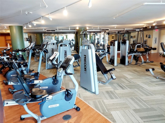 gym with carpet flooring and rail lighting