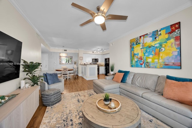 living room featuring light hardwood / wood-style flooring, ceiling fan, and crown molding