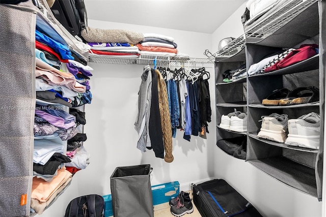 view of spacious closet