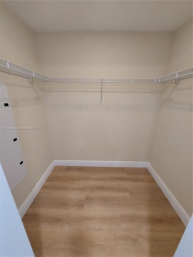 walk in closet featuring hardwood / wood-style flooring