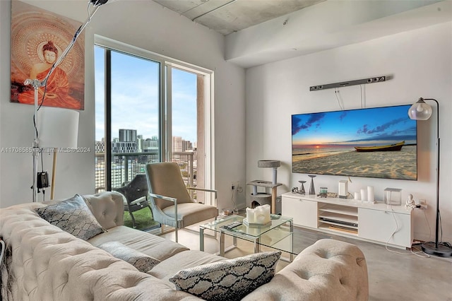 living room featuring concrete flooring