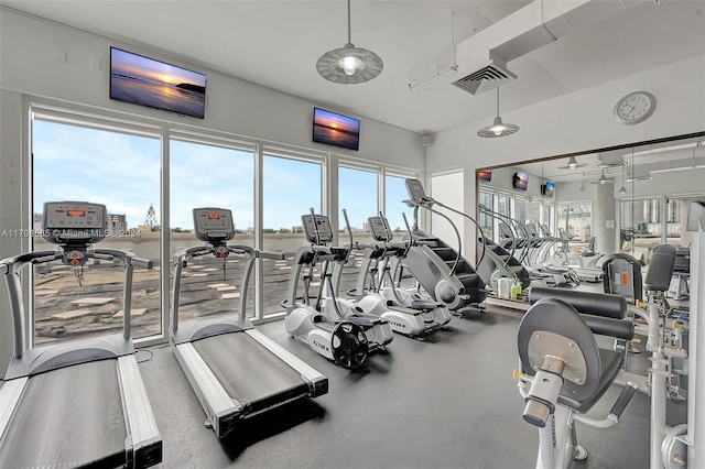 exercise room with a wealth of natural light