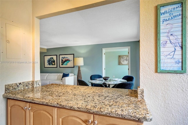 interior space featuring crown molding, light brown cabinets, light stone counters, and a textured ceiling