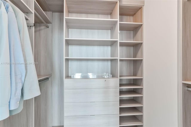 view of walk in closet