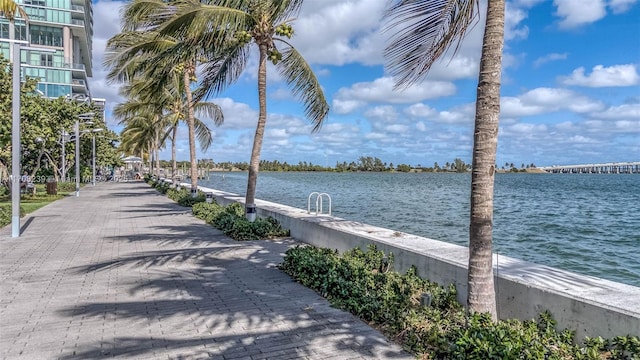 dock area with a water view