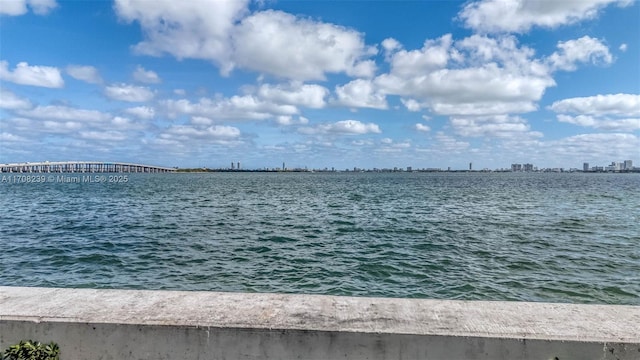 property view of water