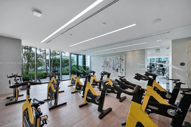 exercise room featuring expansive windows and light wood-type flooring