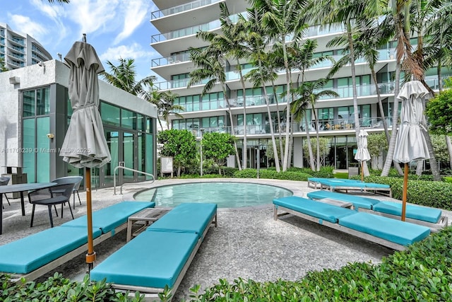 view of swimming pool