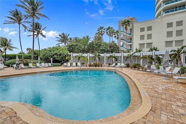 view of swimming pool with a patio area