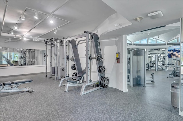 gym with plenty of natural light