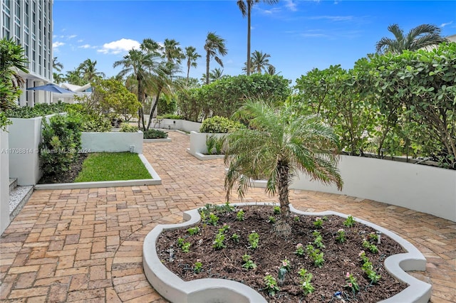5055 Collins Ave Unit 14M, Miami Beach, FL 33140 - view of yard
