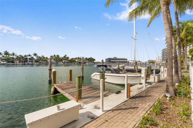 dock area featuring a water view