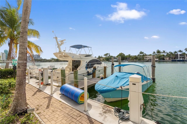 dock area with a water view