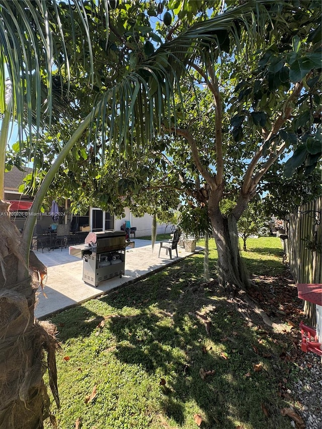 view of yard featuring a patio