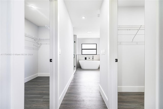 corridor with dark hardwood / wood-style flooring