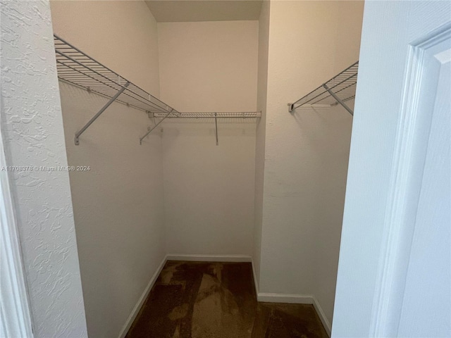 walk in closet with dark colored carpet