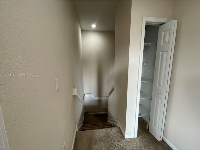 staircase with carpet flooring