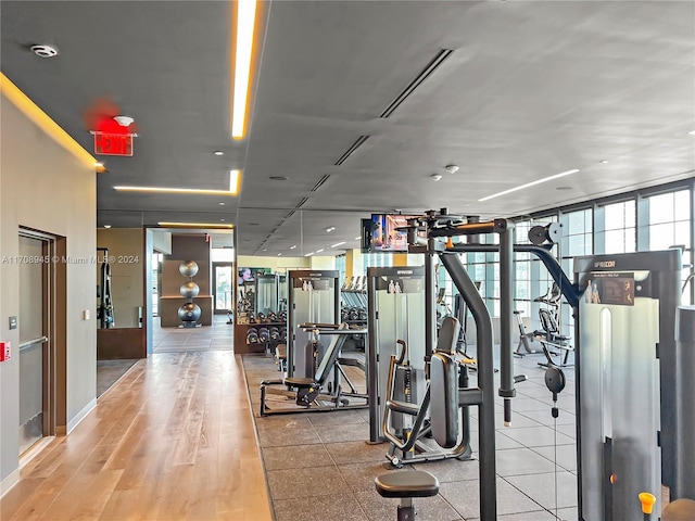 workout area featuring floor to ceiling windows, light hardwood / wood-style flooring, and plenty of natural light