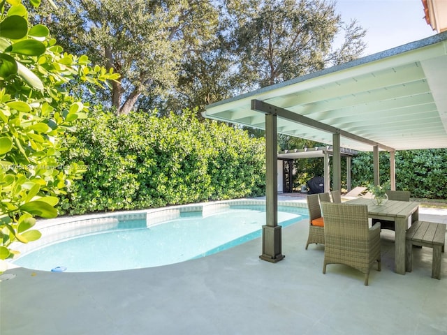 view of pool featuring a patio