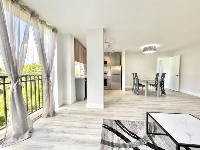 living room featuring light hardwood / wood-style flooring and sink