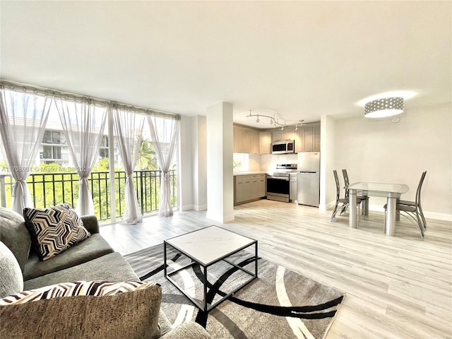 living room with a wealth of natural light and light wood-type flooring