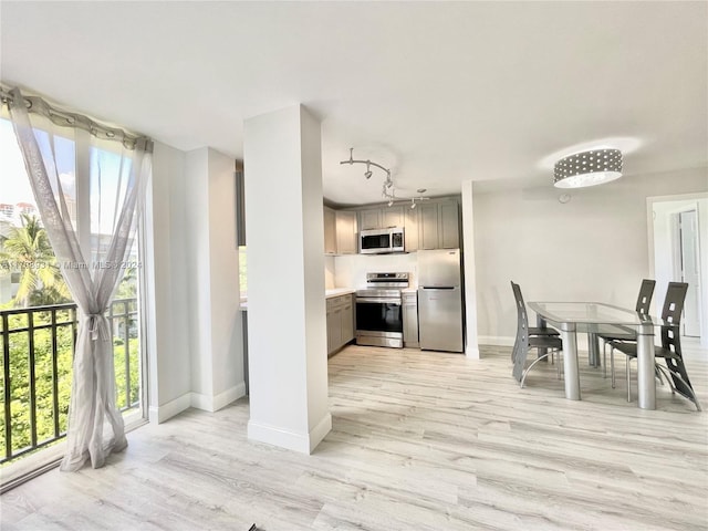 kitchen with a wealth of natural light, light wood-type flooring, and appliances with stainless steel finishes