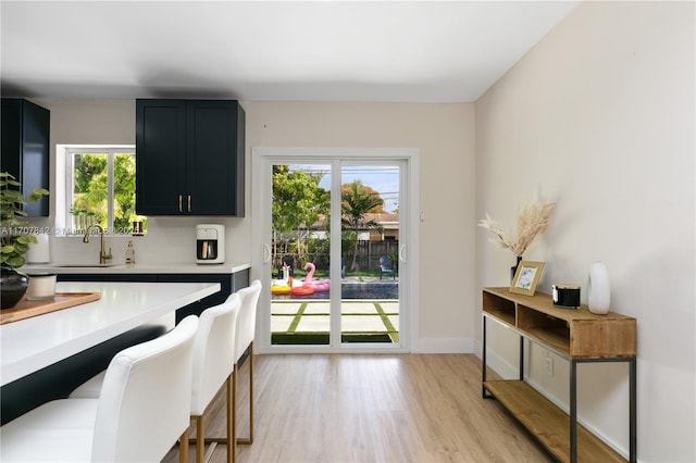 kitchen with sink and light hardwood / wood-style flooring