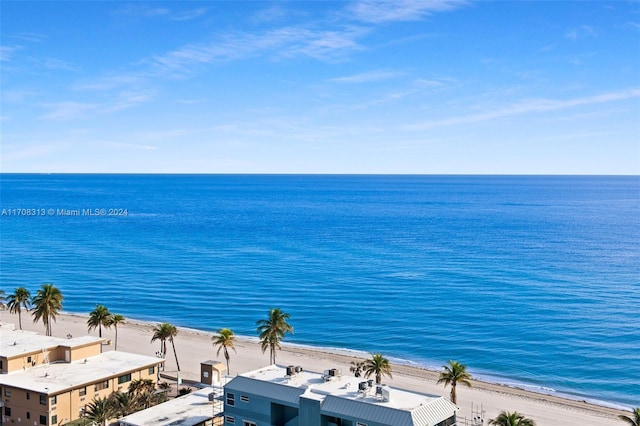 view of water feature featuring a beach view